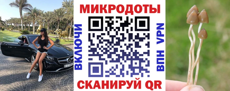 дарнет шоп  Кудрово  Галлюциногенные грибы Cubensis 